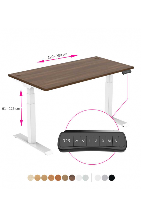 ERGO výškově nastavitelný stůl SKY ořech / bílá
