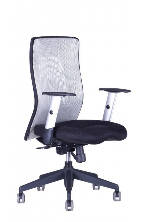 Office Pro kancelářská židle Calypso XL BP + 3 roky prodloužená ZÁRUKA